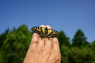 Similar image 22179842