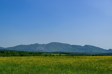 Similar image 22179844