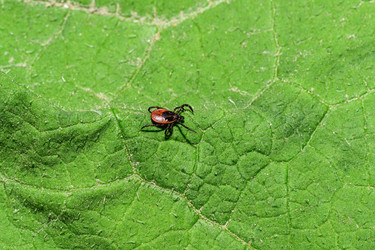 Similar image 22179848