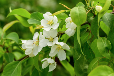 Similar image 22179851