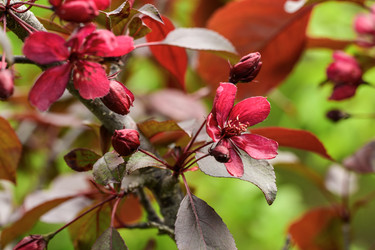 Similar image 22179852