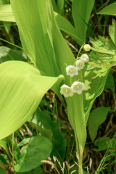 Similar image 22179854