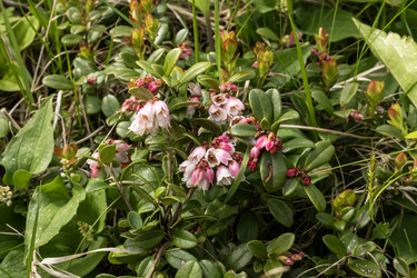 Similar image 22179855