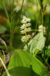 Similar image 22179856