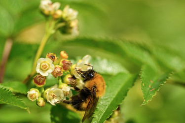 Similar image 22179858