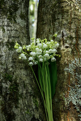 Similar image 22179859