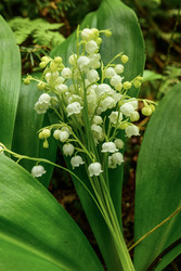 Similar image 22179860