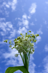 Similar image 22179861