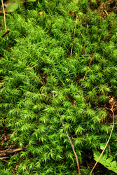 Similar image 22179862