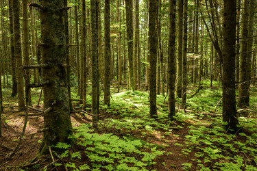 Similar image 22179863