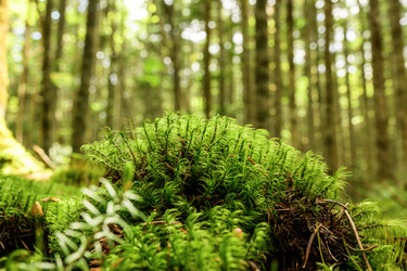 Similar image 22179864