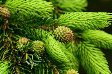 Similar image 22179865