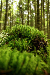 Similar image 22179866