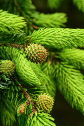 Similar image 22179867