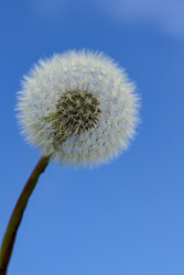 Similar image 22179868