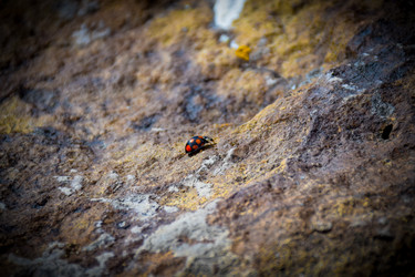 Similar image 22180538