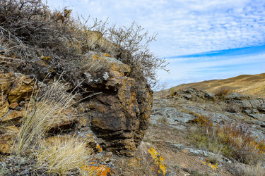 Similar image 22180540