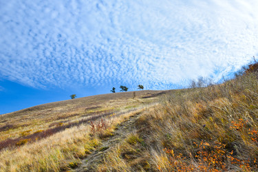 Similar image 22180543