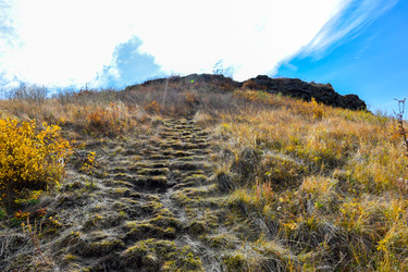 Similar image 22180546