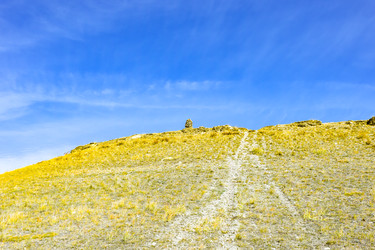 Similar image 22180549