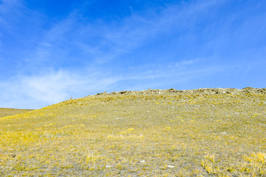 Similar image 22180550