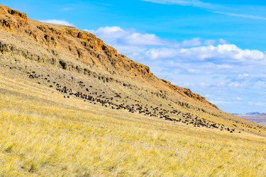 Similar image 22180565