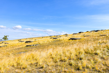 Similar image 22180568