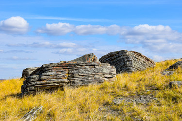 Similar image 22180572