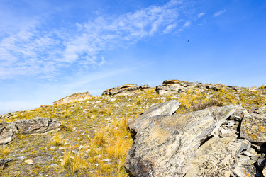 Similar image 22180584