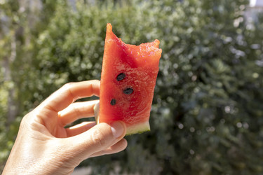 Similar image 22179503