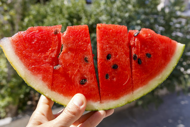 Similar image 22179504