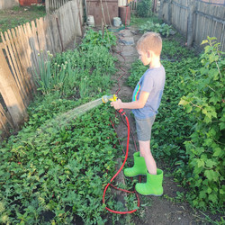 Similar image 22180098