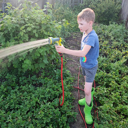 Similar image 22180099