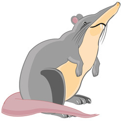 Similar image 22190986