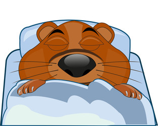 Similar image 22191003