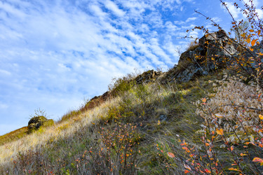 Similar image 22180606