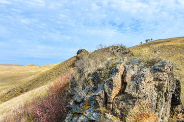 Similar image 22180610