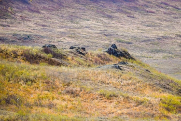 Similar image 22180622