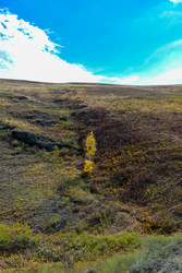 Similar image 22180626