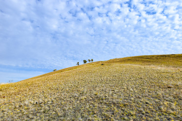 Similar image 22180639