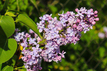 Similar image 22181410