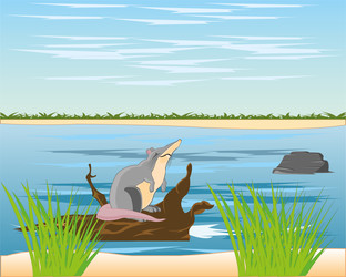 Similar image 22191031