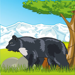 Similar image 22191073