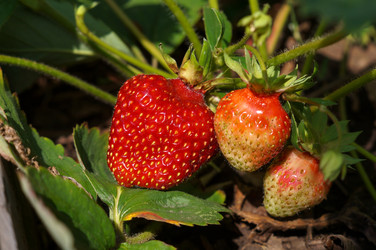 Similar image 22180390