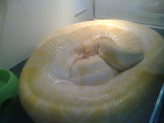 Similar image 22186537