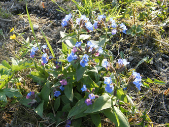 Similar image 22186538