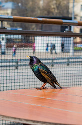 Similar image 22180878