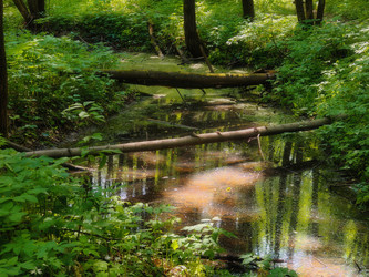 Similar image 22186964