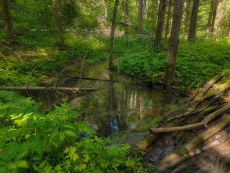 Similar image 22186996