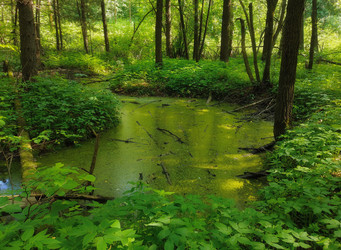 Similar image 22186997